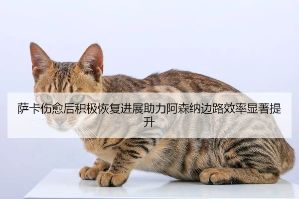 萨卡伤愈后积极恢复进展助力阿森纳边路效率显著提升
