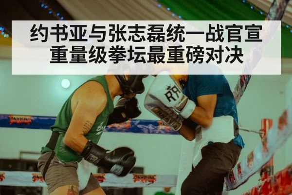 Zhang Zhilei boxing