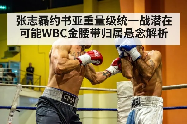 张志磊约书亚重量级统一战潜在可能WBC金腰带归属悬念解析